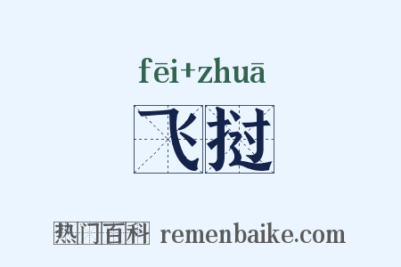 飞挝是什么意思的图片